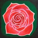 Ruža (70x70)